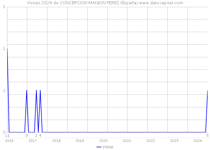 Visitas 2024 de CONCEPCION MANJON PEREZ (España) 