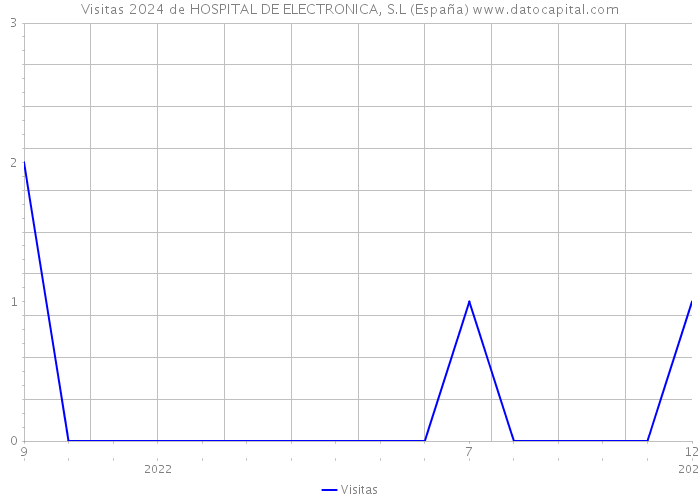 Visitas 2024 de HOSPITAL DE ELECTRONICA, S.L (España) 