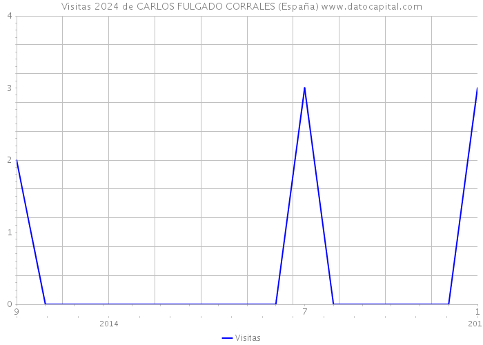 Visitas 2024 de CARLOS FULGADO CORRALES (España) 