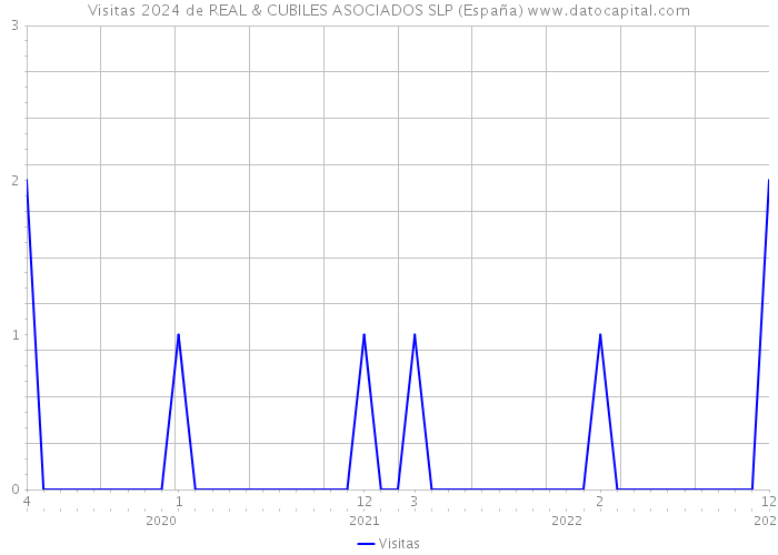 Visitas 2024 de REAL & CUBILES ASOCIADOS SLP (España) 