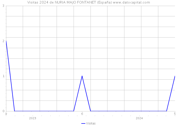 Visitas 2024 de NURIA MAJO FONTANET (España) 