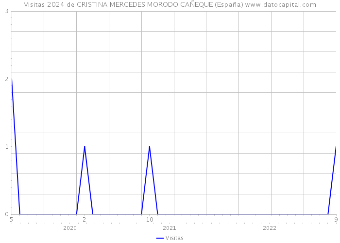 Visitas 2024 de CRISTINA MERCEDES MORODO CAÑEQUE (España) 