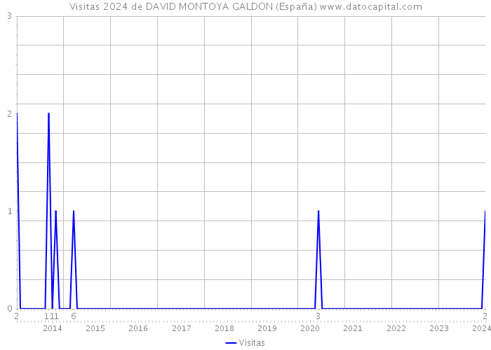 Visitas 2024 de DAVID MONTOYA GALDON (España) 