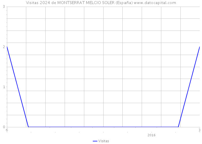 Visitas 2024 de MONTSERRAT MELCIO SOLER (España) 