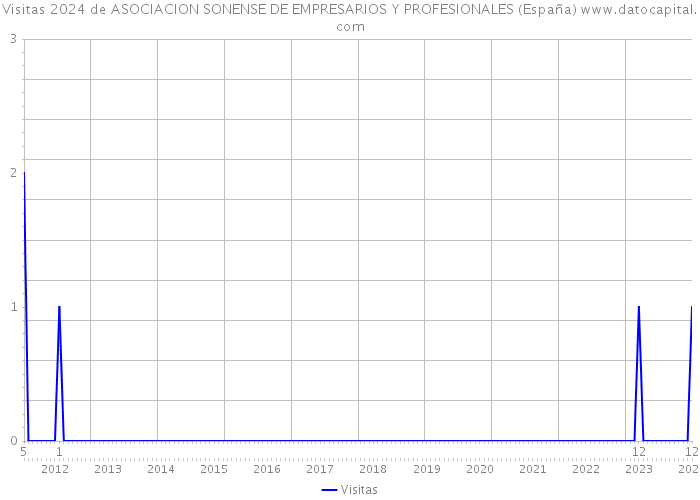 Visitas 2024 de ASOCIACION SONENSE DE EMPRESARIOS Y PROFESIONALES (España) 