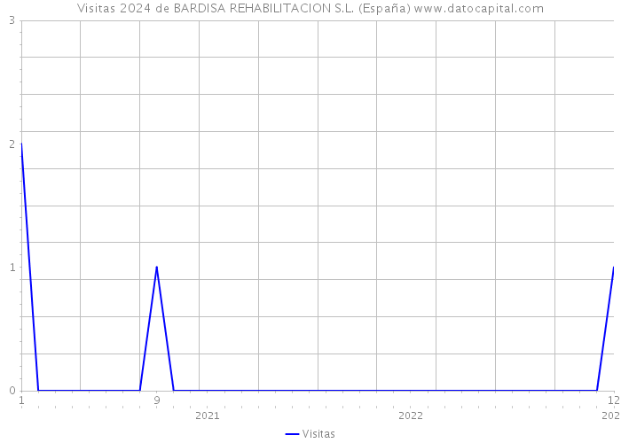 Visitas 2024 de BARDISA REHABILITACION S.L. (España) 