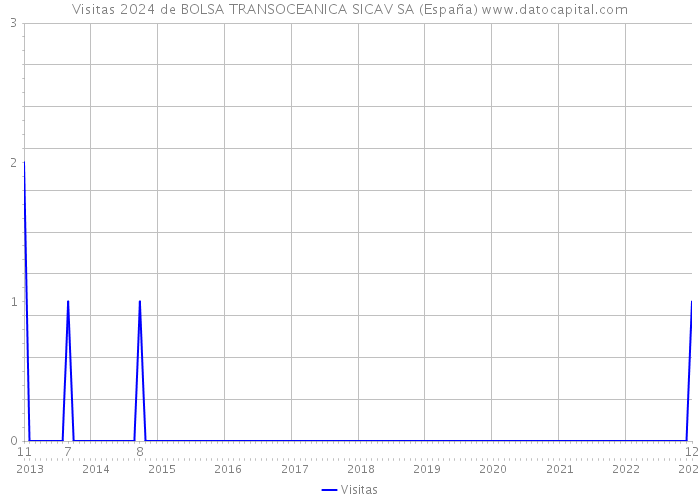 Visitas 2024 de BOLSA TRANSOCEANICA SICAV SA (España) 