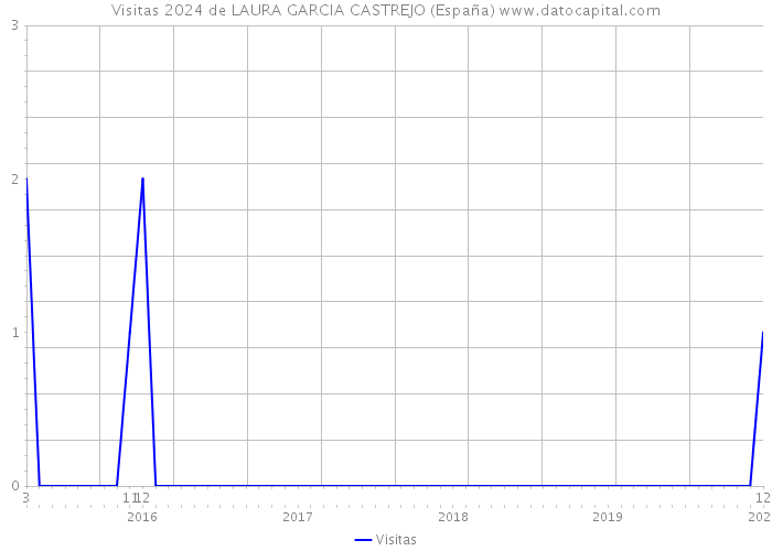 Visitas 2024 de LAURA GARCIA CASTREJO (España) 