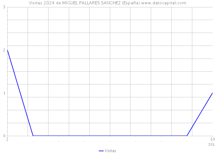 Visitas 2024 de MIGUEL PALLARES SANCHEZ (España) 