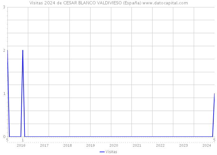 Visitas 2024 de CESAR BLANCO VALDIVIESO (España) 