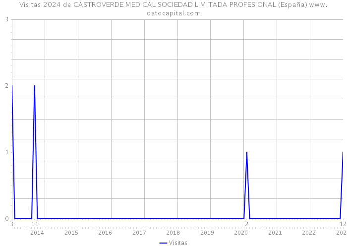 Visitas 2024 de CASTROVERDE MEDICAL SOCIEDAD LIMITADA PROFESIONAL (España) 