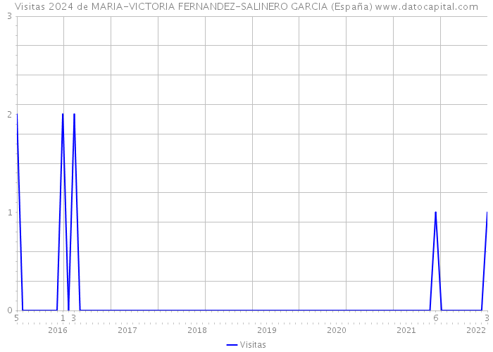 Visitas 2024 de MARIA-VICTORIA FERNANDEZ-SALINERO GARCIA (España) 