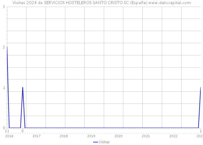Visitas 2024 de SERVICIOS HOSTELEROS SANTO CRISTO SC (España) 