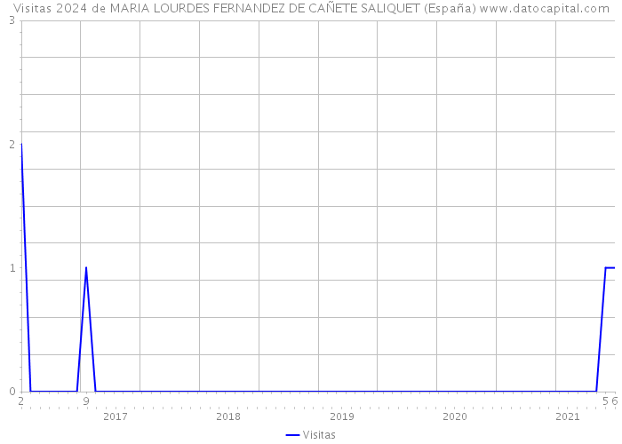 Visitas 2024 de MARIA LOURDES FERNANDEZ DE CAÑETE SALIQUET (España) 