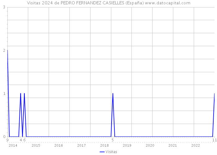 Visitas 2024 de PEDRO FERNANDEZ CASIELLES (España) 
