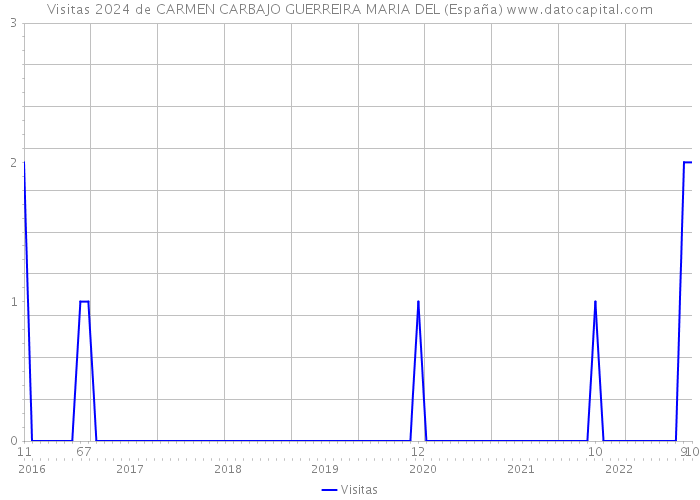 Visitas 2024 de CARMEN CARBAJO GUERREIRA MARIA DEL (España) 
