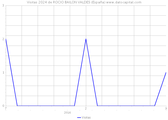 Visitas 2024 de ROCIO BAILON VALDES (España) 