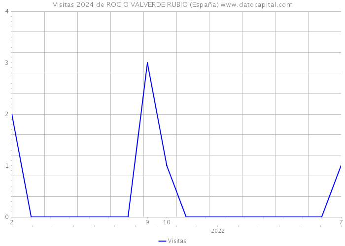 Visitas 2024 de ROCIO VALVERDE RUBIO (España) 