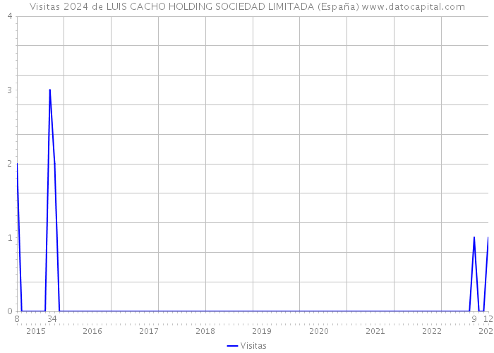 Visitas 2024 de LUIS CACHO HOLDING SOCIEDAD LIMITADA (España) 