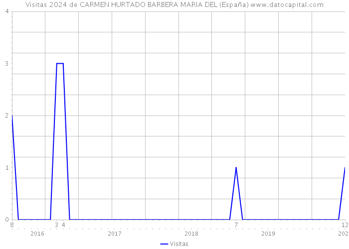 Visitas 2024 de CARMEN HURTADO BARBERA MARIA DEL (España) 