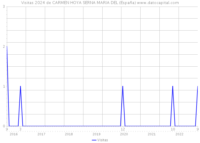 Visitas 2024 de CARMEN HOYA SERNA MARIA DEL (España) 