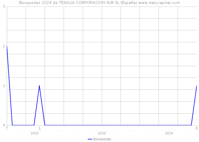 Búsquedas 2024 de TESALIA CORPORACION SUR SL (España) 