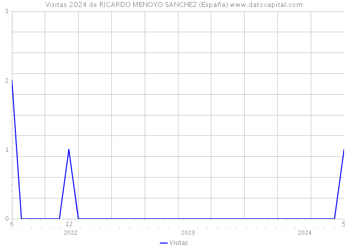 Visitas 2024 de RICARDO MENOYO SANCHEZ (España) 