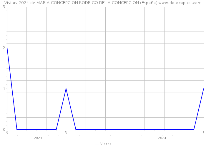 Visitas 2024 de MARIA CONCEPCION RODRIGO DE LA CONCEPCION (España) 