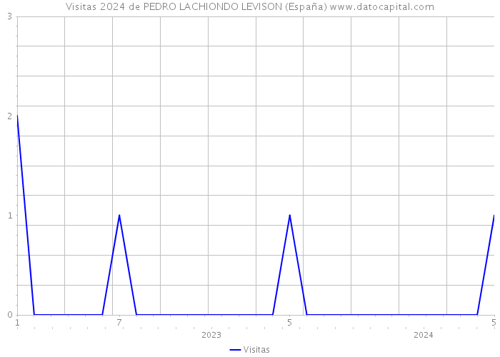 Visitas 2024 de PEDRO LACHIONDO LEVISON (España) 