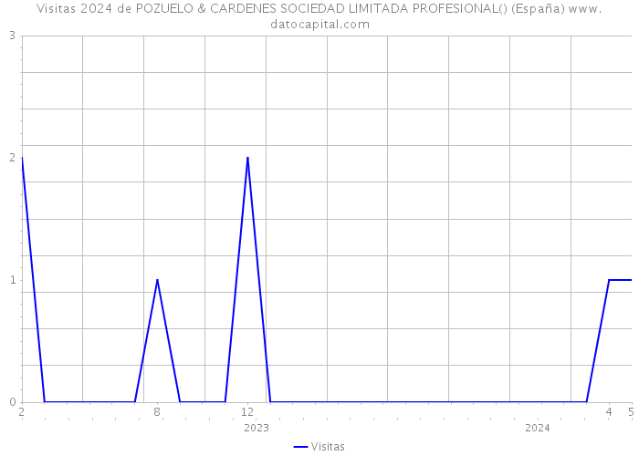 Visitas 2024 de POZUELO & CARDENES SOCIEDAD LIMITADA PROFESIONAL() (España) 