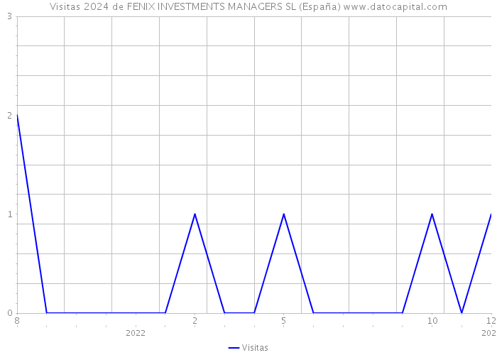 Visitas 2024 de FENIX INVESTMENTS MANAGERS SL (España) 