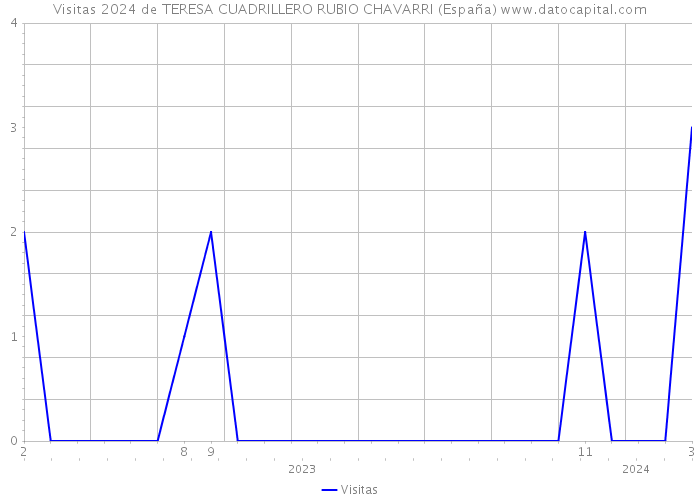 Visitas 2024 de TERESA CUADRILLERO RUBIO CHAVARRI (España) 