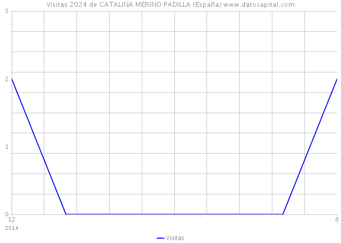 Visitas 2024 de CATALINA MERINO PADILLA (España) 