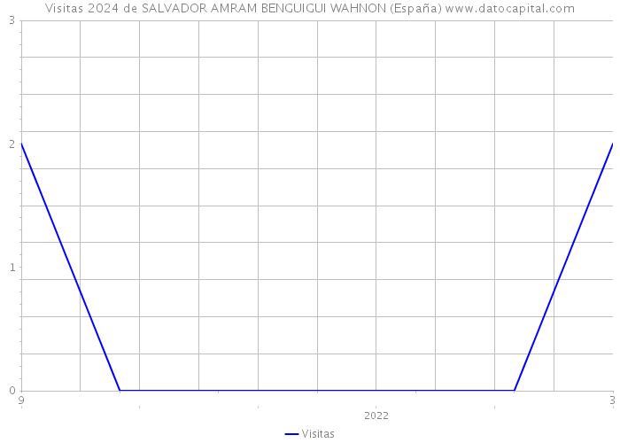 Visitas 2024 de SALVADOR AMRAM BENGUIGUI WAHNON (España) 