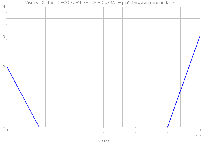 Visitas 2024 de DIEGO FUENTEVILLA HIGUERA (España) 