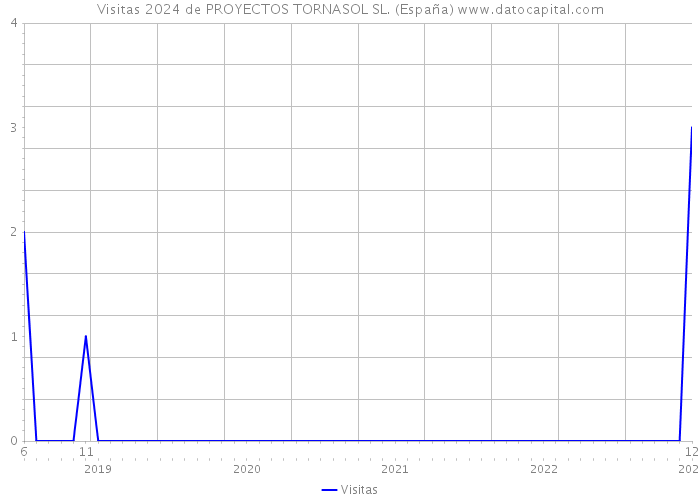 Visitas 2024 de PROYECTOS TORNASOL SL. (España) 