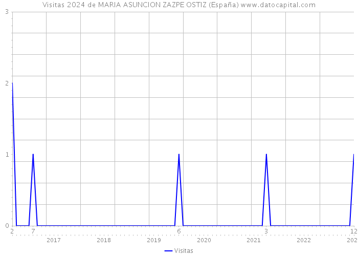 Visitas 2024 de MARIA ASUNCION ZAZPE OSTIZ (España) 