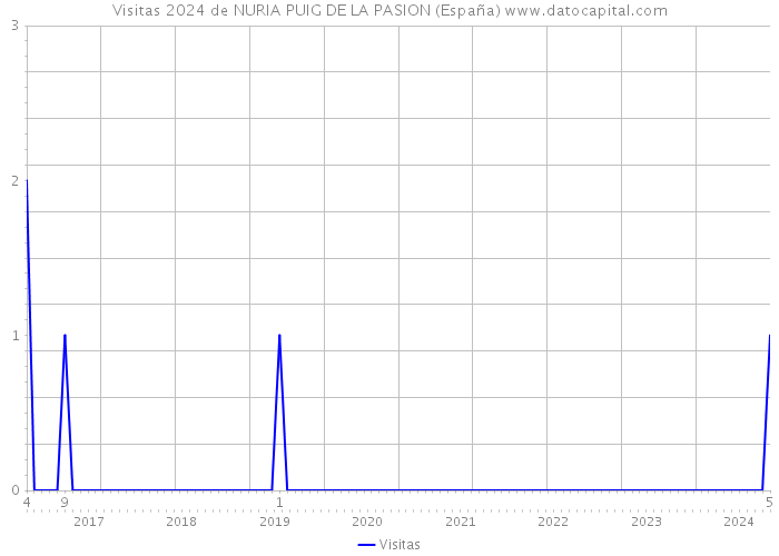 Visitas 2024 de NURIA PUIG DE LA PASION (España) 