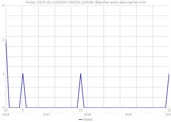 Visitas 2024 de LUCIANO GARCIA LIZANA (España) 