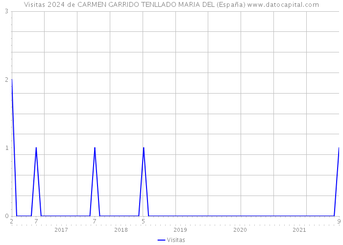 Visitas 2024 de CARMEN GARRIDO TENLLADO MARIA DEL (España) 