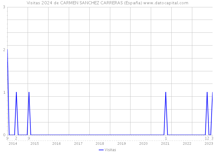 Visitas 2024 de CARMEN SANCHEZ CARRERAS (España) 