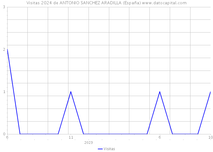 Visitas 2024 de ANTONIO SANCHEZ ARADILLA (España) 