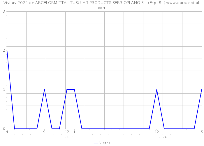 Visitas 2024 de ARCELORMITTAL TUBULAR PRODUCTS BERRIOPLANO SL. (España) 