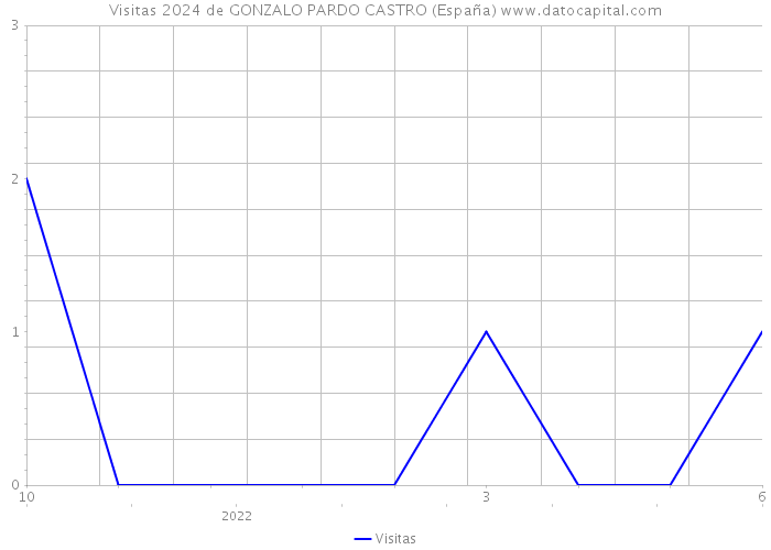 Visitas 2024 de GONZALO PARDO CASTRO (España) 