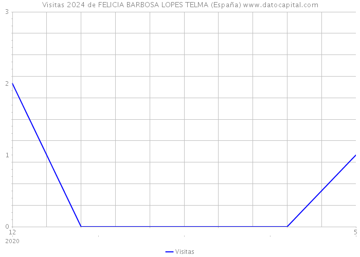 Visitas 2024 de FELICIA BARBOSA LOPES TELMA (España) 