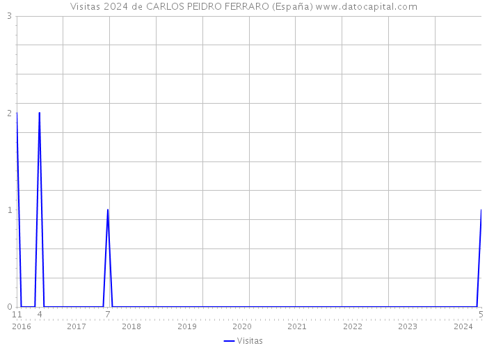 Visitas 2024 de CARLOS PEIDRO FERRARO (España) 