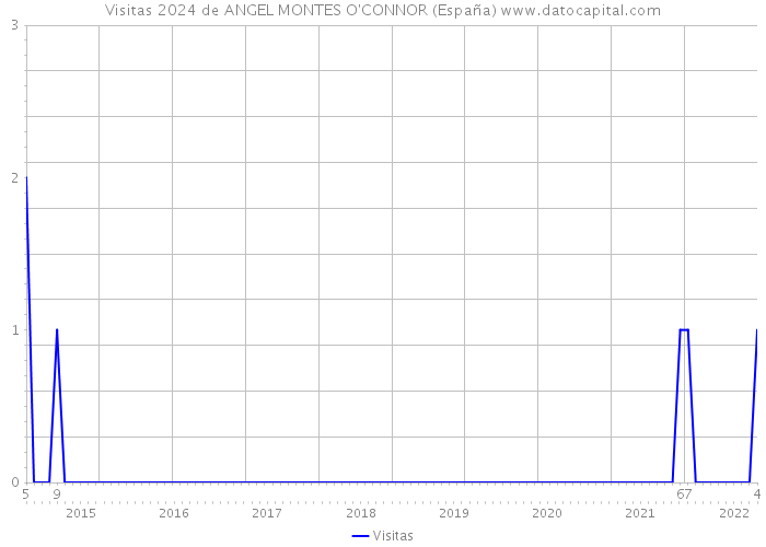 Visitas 2024 de ANGEL MONTES O'CONNOR (España) 