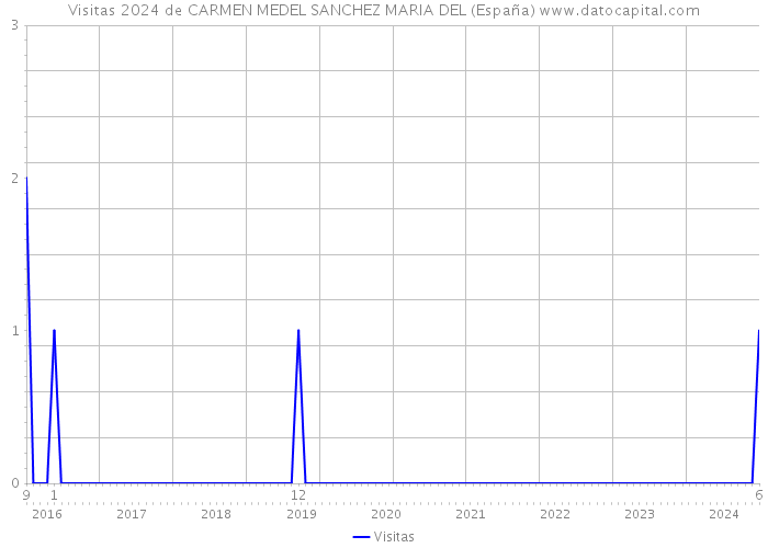 Visitas 2024 de CARMEN MEDEL SANCHEZ MARIA DEL (España) 