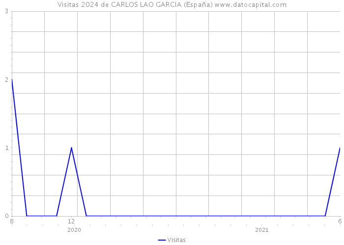 Visitas 2024 de CARLOS LAO GARCIA (España) 