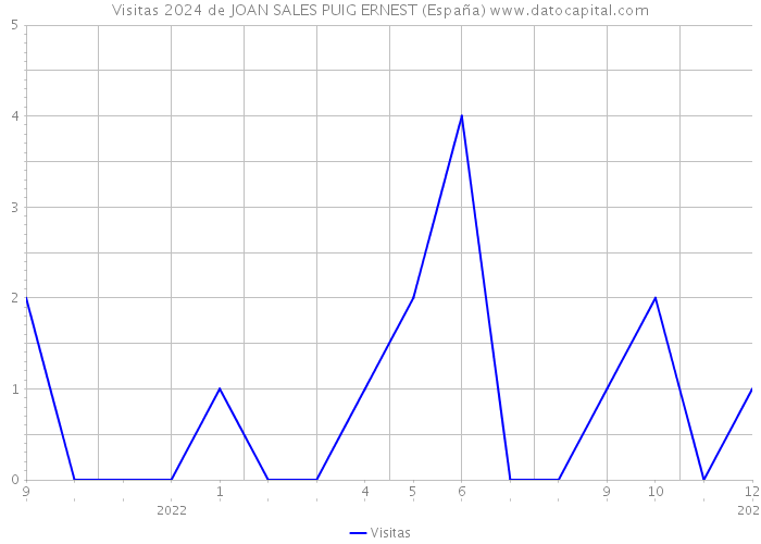 Visitas 2024 de JOAN SALES PUIG ERNEST (España) 